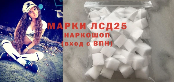 mdpv Богородицк