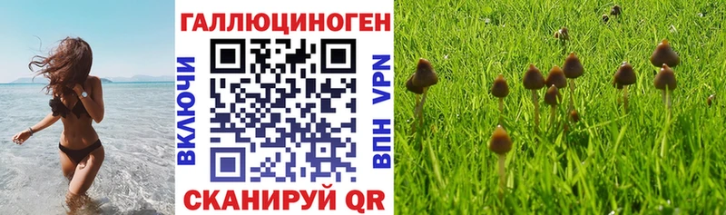 Псилоцибиновые грибы GOLDEN TEACHER  кракен сайт  Чита  купить наркотик 